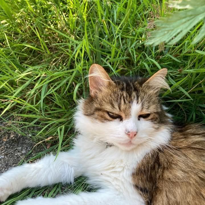 RIP
Monty