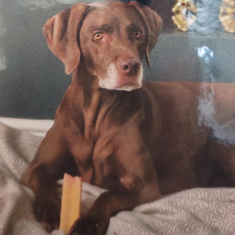 RIP
Charlie