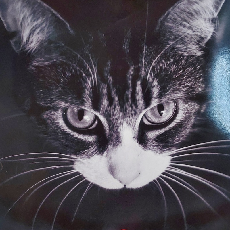 RIP
Lilly