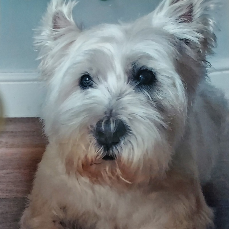 RIP
Daisy