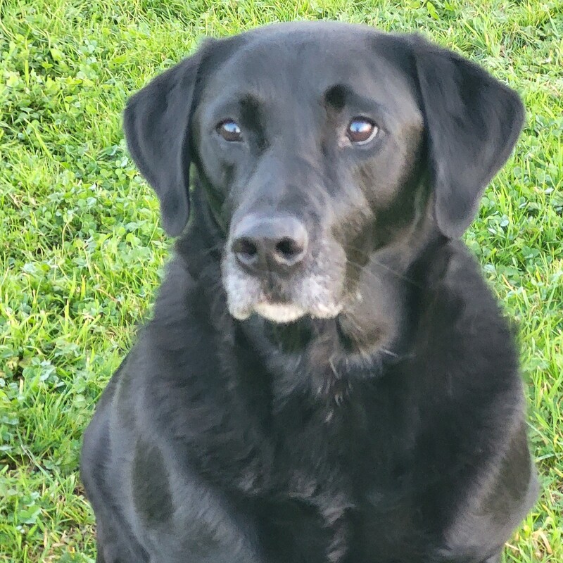 RIP
Dudley