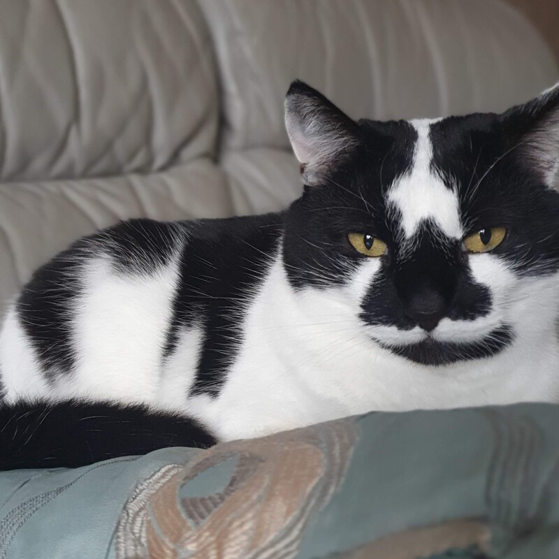 RIP
Milly