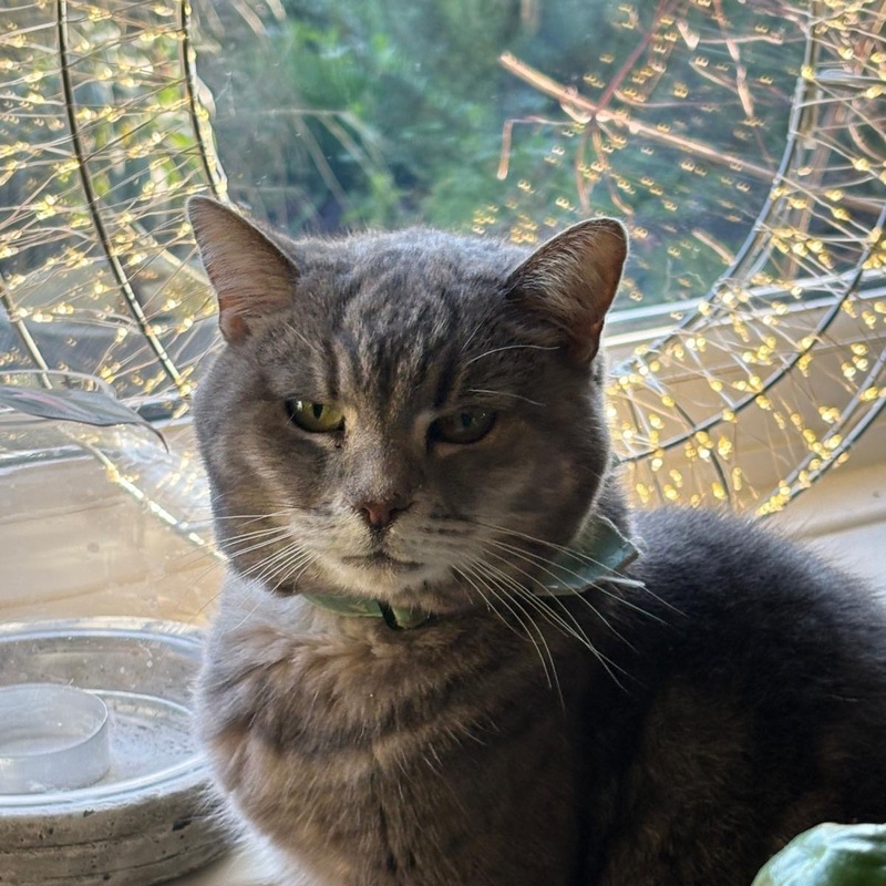 RIP
Willow