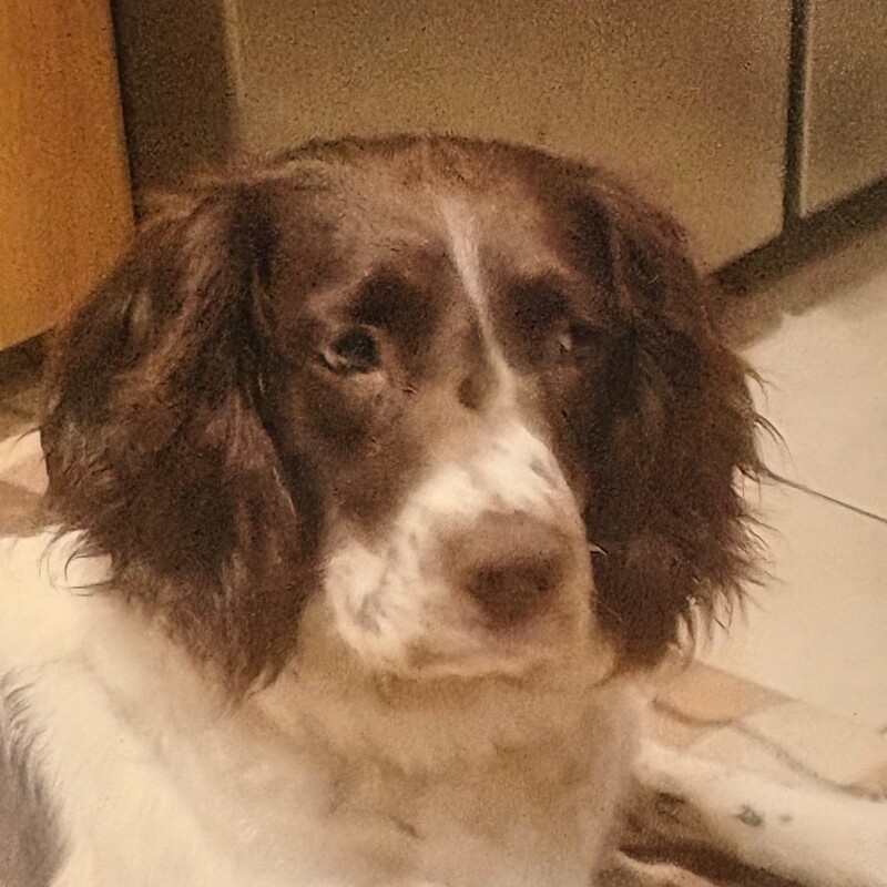 RIP
Lola