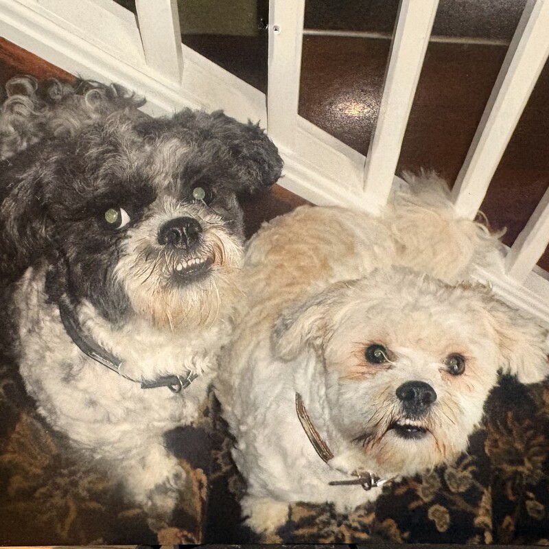 RIP
Troy and Todd
