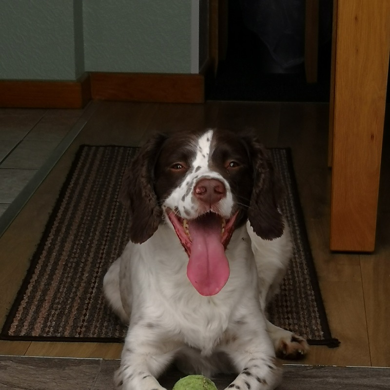 RIP
Dodger