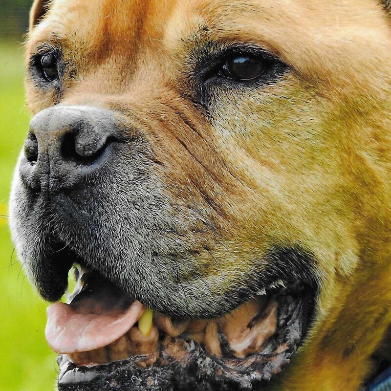 RIP
Benson