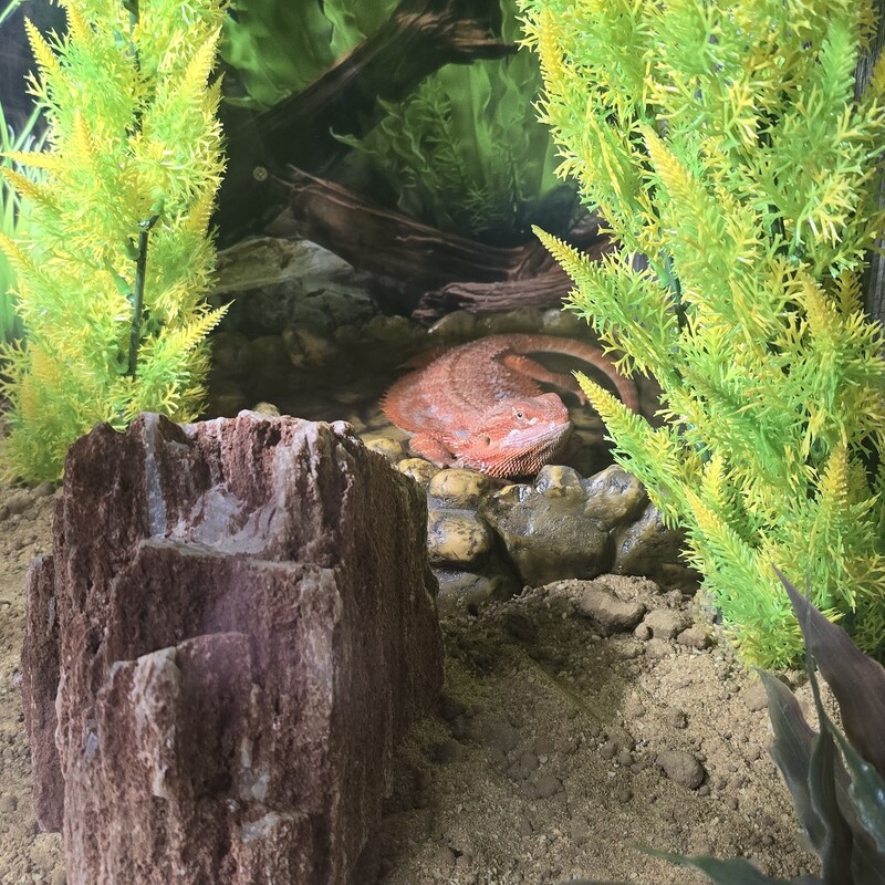 RIP
Ruby
