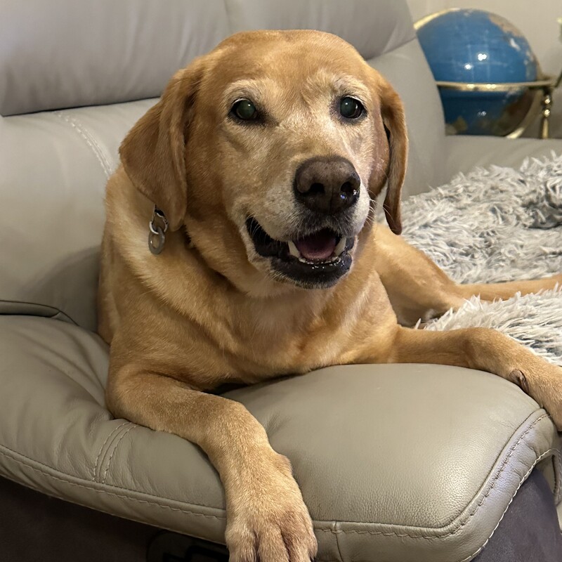 RIP
Ella

