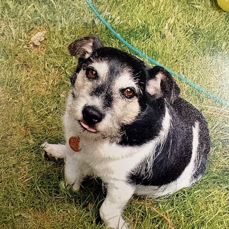RIP
Tilly


