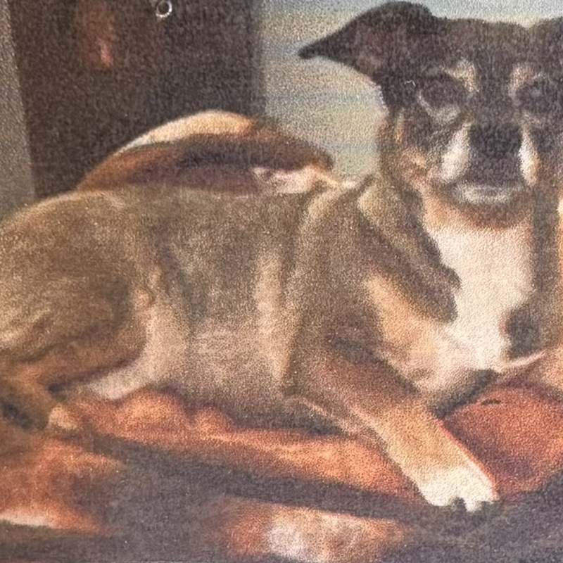 RIP
Alfie