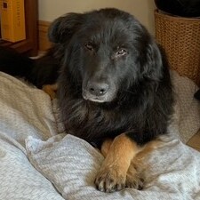 
RIP
Reuben
